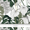 MONSTERA 3.0  - Len 100%