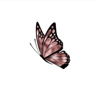 MOTYL wz. 3 (BROKATOWE MOTYLE) - PANEL SINGLE JERSEY 75cm x 80cm