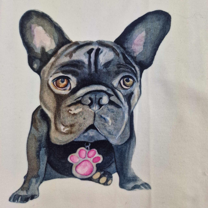 JERSEY PACKAGE PAT. 37