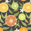 CITRUS no. 2 / graphite - Waterproof woven fabric