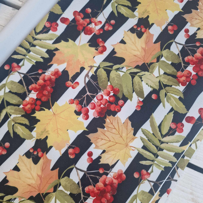 PACKAGE - SOFTSHELL PAT. 44