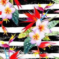 FLOWERS ON THE ZEBRA - single jersey with elastane