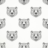 BROWN BEAR / B-00 white - single jersey TE210