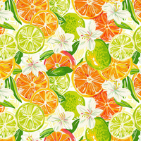 Tutti Frutti wz. 10- Slub Weave
