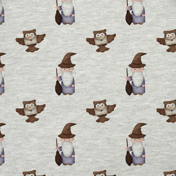 CZARODZIEJE / sowy (MAGICZNA SZKOŁA) / M-01 melanż jasnoszary