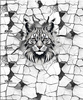 ANIMALS CRACKED wz.2 (cat) - panel (60cm x 50cm) tkanina bawełniana