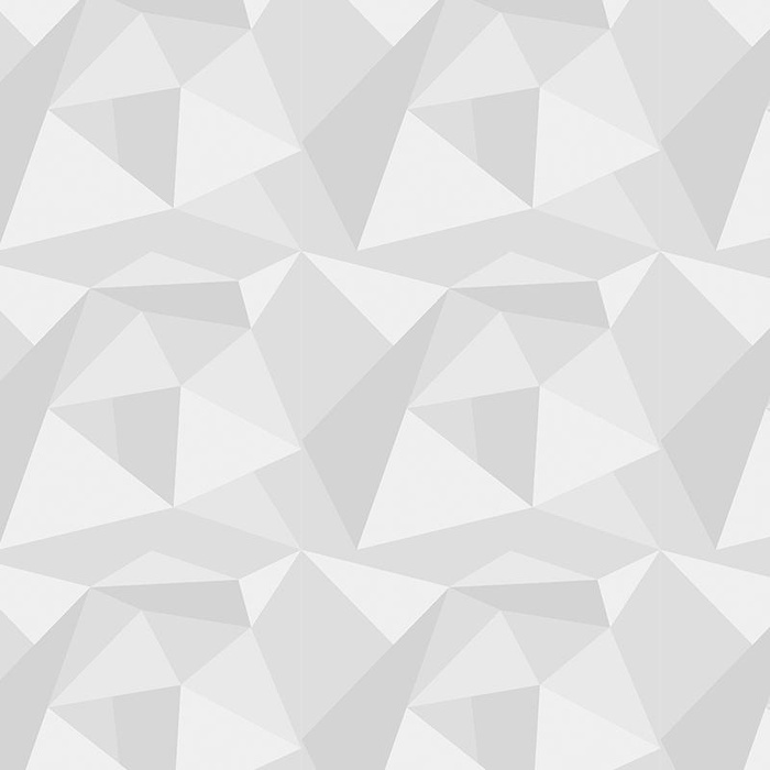 ICE (adventure) / grey - softshell