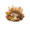 SLEEPING HEDGEHOG - PANEL (60cm x 50cm) brushed knitwear with elastane ITY