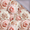 PASTEL FLOWERS WZ.7 - Softshell