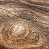 TREE RING pat. 1 (PHOTOGRAPHIC BACKGROUND) - Waterproof woven fabric