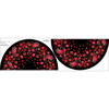 Circle skirt panel - RED ROSES