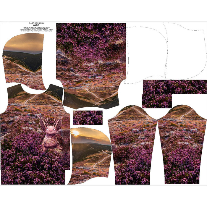 DĚTSKÁ MIKINA S KAPUCÍ (ALEX) - WRZEŚNIK BESTIE - Sada šití