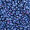 BLAUBEEREN - Sommerswea tmit Elastan