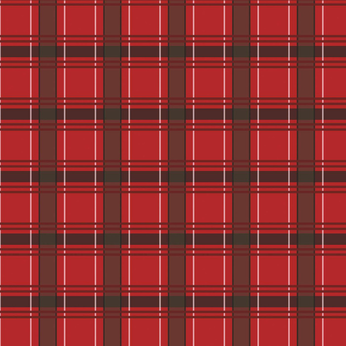 CHECK PAT. 11 / red - looped knit fabric with elastane ITY