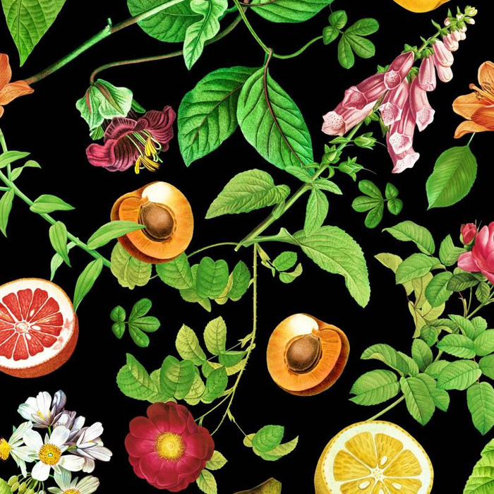 PARADISE FRUITS pat. 2 (PARADISE GARDEN)