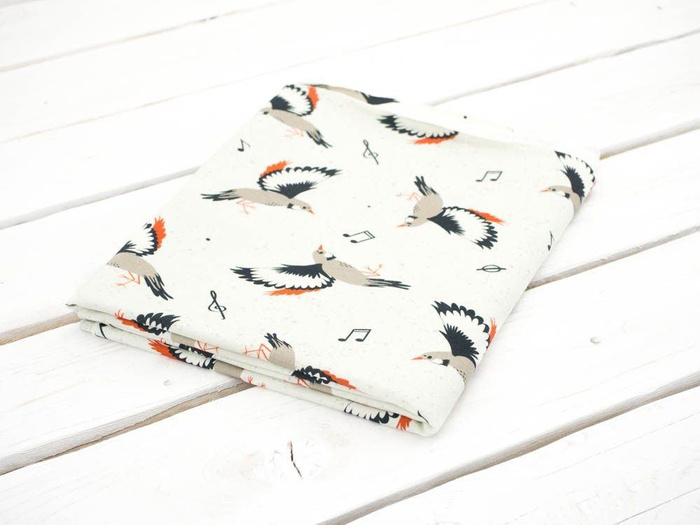 BIRDS TUNES / dirty white - Viscose jersey WE210