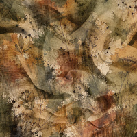 AUTUMN WZ. 12 - Cotton muslin
