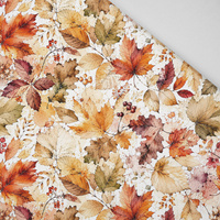 AUTUMN WZ. 2 - Panama 220g