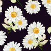 DAISIES PAT. 3 / black - looped knit fabric with elastane ITY