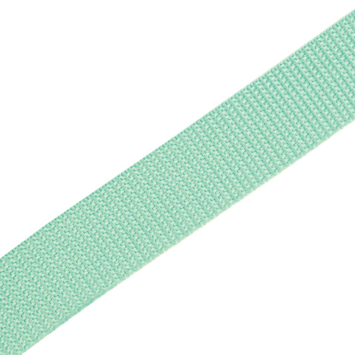 Webbing tape 25mm - MINT
