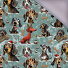 DOGS WZ. 3 / CHRISTMAS - Softshell 