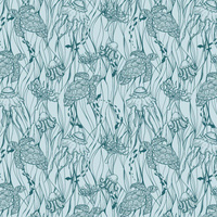 ŽELVY A MEDÚZY (MODRÁ PLANETA)