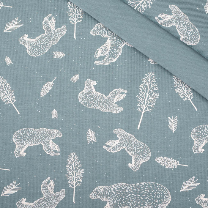 BEARS (CONTOUR) / blue-grey - single jersey