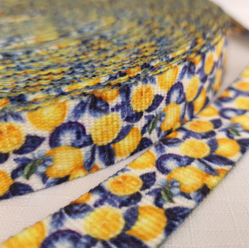 Webbing Tape with Print 25mm - Tutti Frutti wz. 16