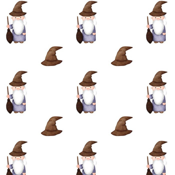 WIZARDS / hats (MAGIC SCHOOL)