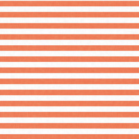 STRIPES 1x1 - acid white/ acid red