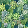SUCCULENT PLANTS MS. 5 - Baumwoll Webware