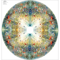 MAGIC MEADOW - circle skirt panel D