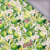 TUTTI FRUTTI WZ. 41 / lime cream - softshell