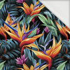 WILD JUNGLE WZ.11 - looped knit fabric with elastane ITY