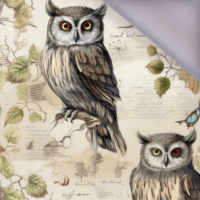 PASTEL BIRDS WZ. 4 (SOWY) - softshell