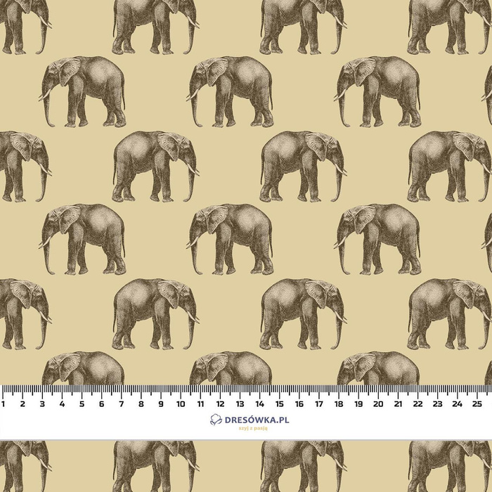 ELEPHANTS (SAFARI)