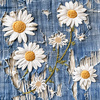 DAISIES DENIM IMITATION PAT. 3- Slub Weave
