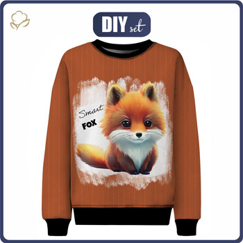 DĚTSKÁ MIKINA (NOE) - BABY FOX - Sada šití