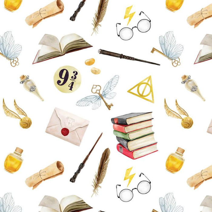 MAGISCHE WELT M.1 (ZAUBERSCHULE) - HOME DECOR PREMIUM Webware