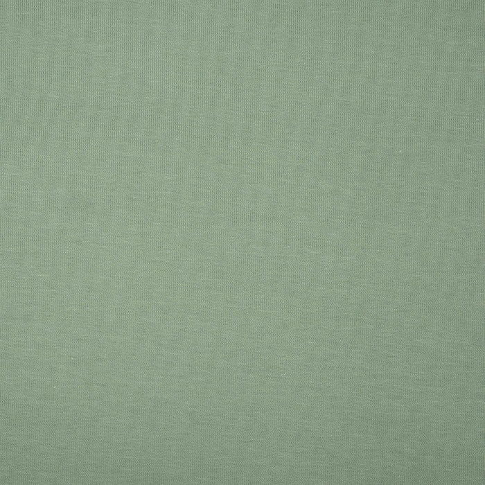 French Terry mit Elasthan - MODERN MINT (D-45)