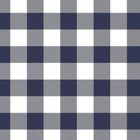 VICHY GRID NAVY / white - Viscose jersey WE210