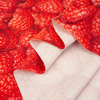 RASPBERRIES - single jersey with elastane TE210