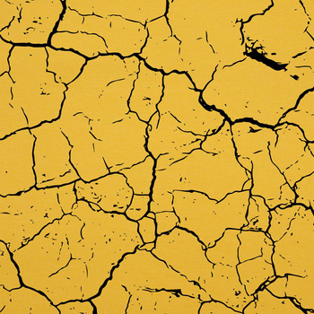 SPĘKANA ZIEMIA (czarna)  / B-14 musztardowy