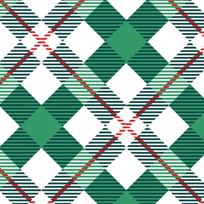 KARO GRÜN-ROT / weiß - bio single jerset mit Elastan  Sommersweat