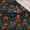 CHRISTMAS CAPYBARA - brushed knitwear with elastane ITY