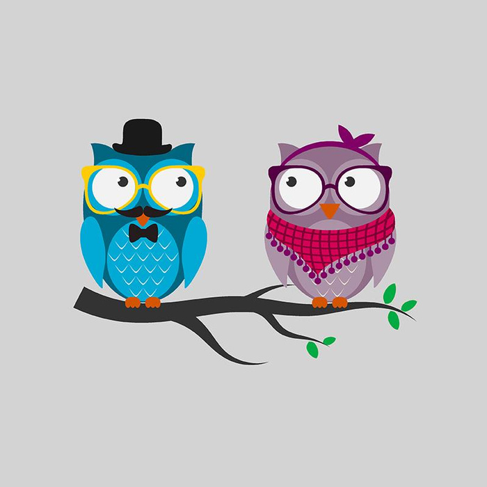 DVĚ SOVY / šedé - panel