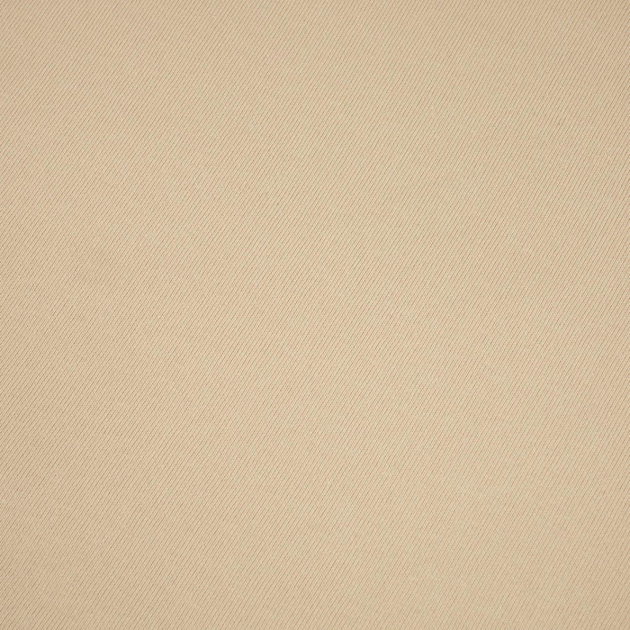 D-115 BEIGE - thick brushed sweatshirt D300