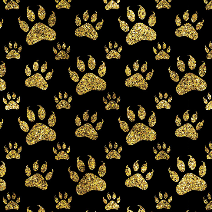 Black & Gold Glamour wz.8 - lycra 300g