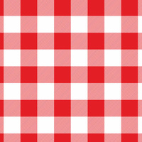 VICHY GRID RED / white - Viscose jersey WE210