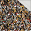 DOGS WZ. 1 / CHRISTMAS - teplakovina